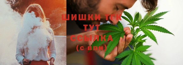 индика Краснослободск