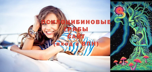 прущие крисы Корсаков