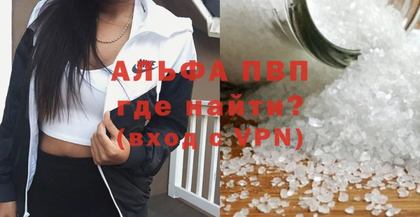 прущие крисы Корсаков